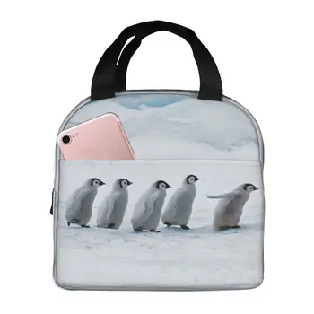 Pingvin Minta Ebéd Bag Hőszigetelt Bento Box Zsák a Nők, a Gyerekek Vászon Aranyos Ebéd Box Tároló Doboz Piknik Kemping